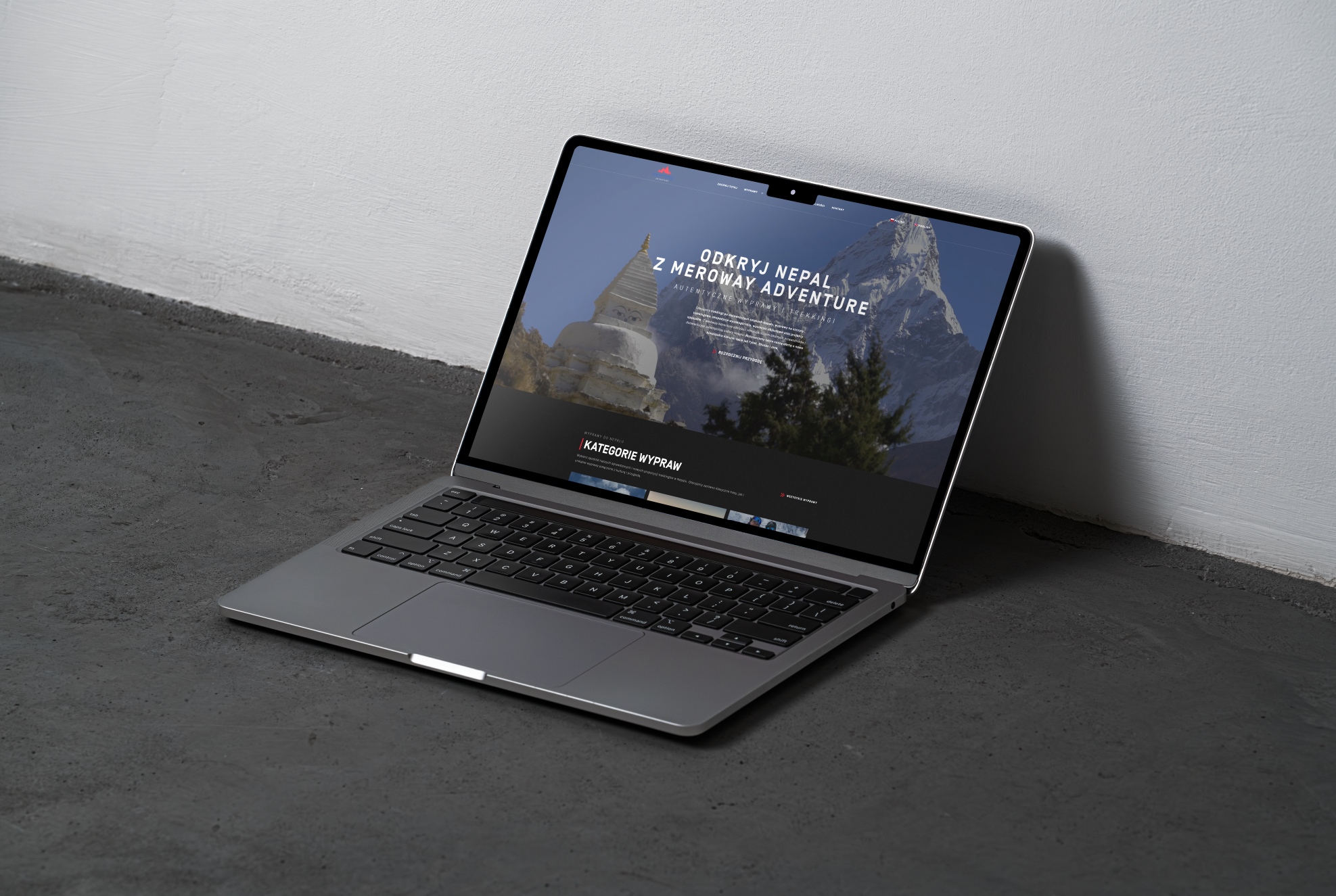 Strona główna merowayadventure.com na komputerze